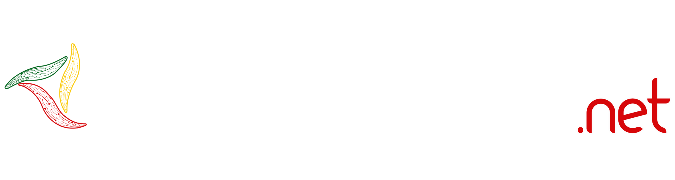 www.maliweb.net